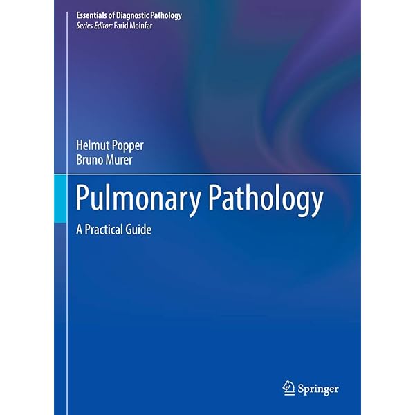 Pathology of Asbestos-Associated Diseases: 9783031892493