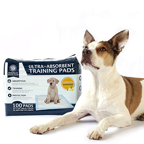 Kennel Club Scented Puppy Training Pads with Ultra Absorbent Quick Dry