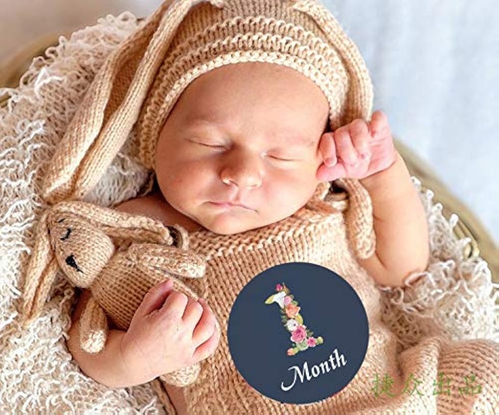 カワイイ マンスリー 月齢 フォト ステッカー シール ベビー マタニティー 新生児 赤ちゃん 記念 写真 撮影 12個セット