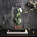 Whole Housewares Clear Glass Cloche Bell Jar - Glass Display Dome