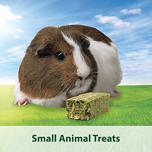 3 Kaytee+Natural+Timothy+Rabbits+Animals