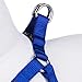 Blueberry Pet Essentials Step-in Dog Harness, Small Size | Adjustable Royal Blue Vest | Classic Solid Nylon for Boy & Girl Dogs, Chest Girth 16.5