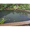 Blagdon-1022378-Clearview-Pond-Cover-Net-Strong-Double-Weave-Black-Fine-With-Pegs-3-m-x-2-m-10-x-6-6-Protects-Pond Blagdon 1022378 Clearview Pond Cover Net, Strong Double Weave, Black, Fine, With Pegs, 3 m x 2 m (10’ x 6’ 6”), Protects…