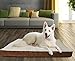 Paws & Pals Orthopedic Pet Bed Foam-Mattress for Dogs & Cats – Soft Quilted Cushion Mat - Rectangular Fits Crate, Carrier & Kennel - Various Sizes
