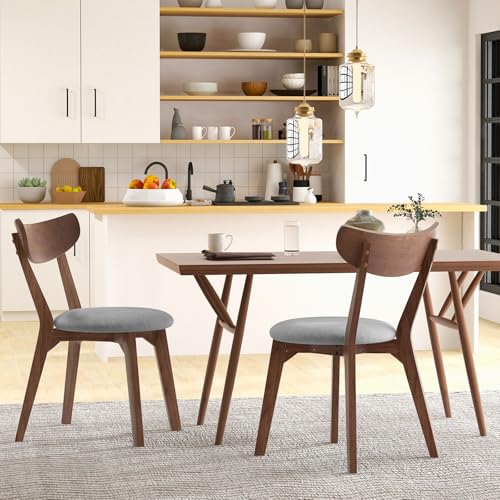 KOTEK Dining Chairs Set of 4, Mid Century Modern Kitchen Chairs with Rubber Wood Legs, Cushioned Seat, Curved Backrest, Wooden Side Chairs for Dining Room, Living Room