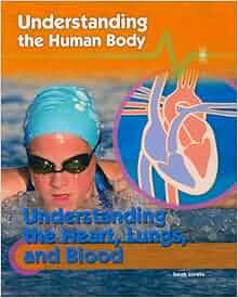 Understanding The Heart Lungs And Blood Understanding The Human Body 9781435896901