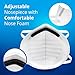 Disposable Dust Mask for face - NIOSH Certified - Safety N95 Particulate Respirator Mask (20 pack) for Cleaning, Construction, Woodworking & more