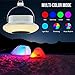 LE Portable LED Camping Lantern, Rechargeable Night Light, Musical Bluetooth Speaker, Color Changing, Dimmable, Touch Control Bedside Light for Indoor, Outdoor and More