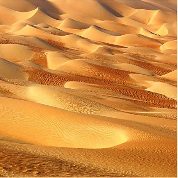 Xbwy カスタム3dステレオ壁画現仭のシンプルな黄色い砂漠の写真の壁紙