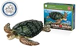 Smithsonian E-Z Build Puzzle - Green Sea Turtle