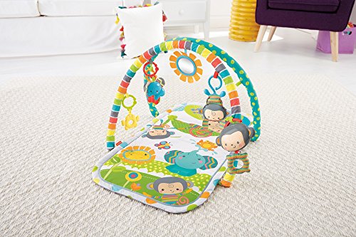 fisher price snugamonkey musical play gym