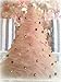 Tulle Roll Spool 6 Inch x 100 Yards (300FT) Wedding Party Decoration ,Tutu Skirts by RayCC (Pink Colour)