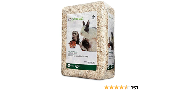 collar with nameplate