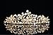 Flower Leaf Bridal Wedding Tiara Crown - Clear Crystals Gold Plating T656