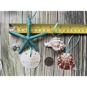 Beach Seashell and Starfish Christmas Tree Ornament Package (Standard Seashell Package) 51ORfvWMCeL