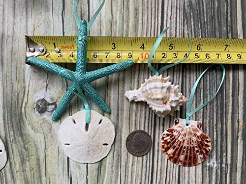 51ORfvWMCeL 51ORfvWMCeL