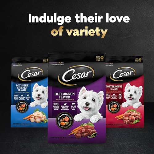 CESAR Adult Small Breed Dry Dog Food, Filet Mignon Flavor with Spring