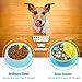 Keethem Slow Feed Dog Bowl, Bloat Stop Dog Bowl Slow Feeder No Chok Anti-Gulping Dog Feeder, Come with 2pcs Ultrasonic Dog Whistle to Stop Barking for Large Medium Small Dogs（Blue）