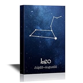 12 Zodiac Signs Constellati Leo
