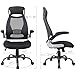 OWLN Ergonomic High Back Mesh Office Chair with Adjustable Headrest and Armrest Desk Chair