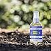 Uncle Bud's 2-Pack Special - Massage Oil Coconut Hemp - for Relaxing Massage,Body oil,Moisturizing Skin and Sore Muscle Relief