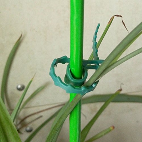 Exttlliy Plastic Reusable Adjustable Garden Plant Twist Tie Gardening Flexible Vines Tie for Garden Home Use Green (10Pcs)