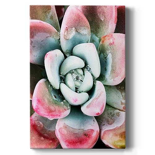 Renditions Gallery Canvas Floral Wall Art Home Paintings & Prints Pink Succulen…