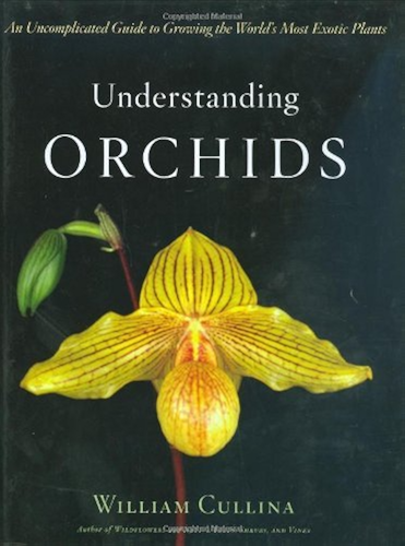 Download Understanding Orchids: An Uncomplicated Guide to Growing the World's Most Exotic Plants (English Edition) PDF