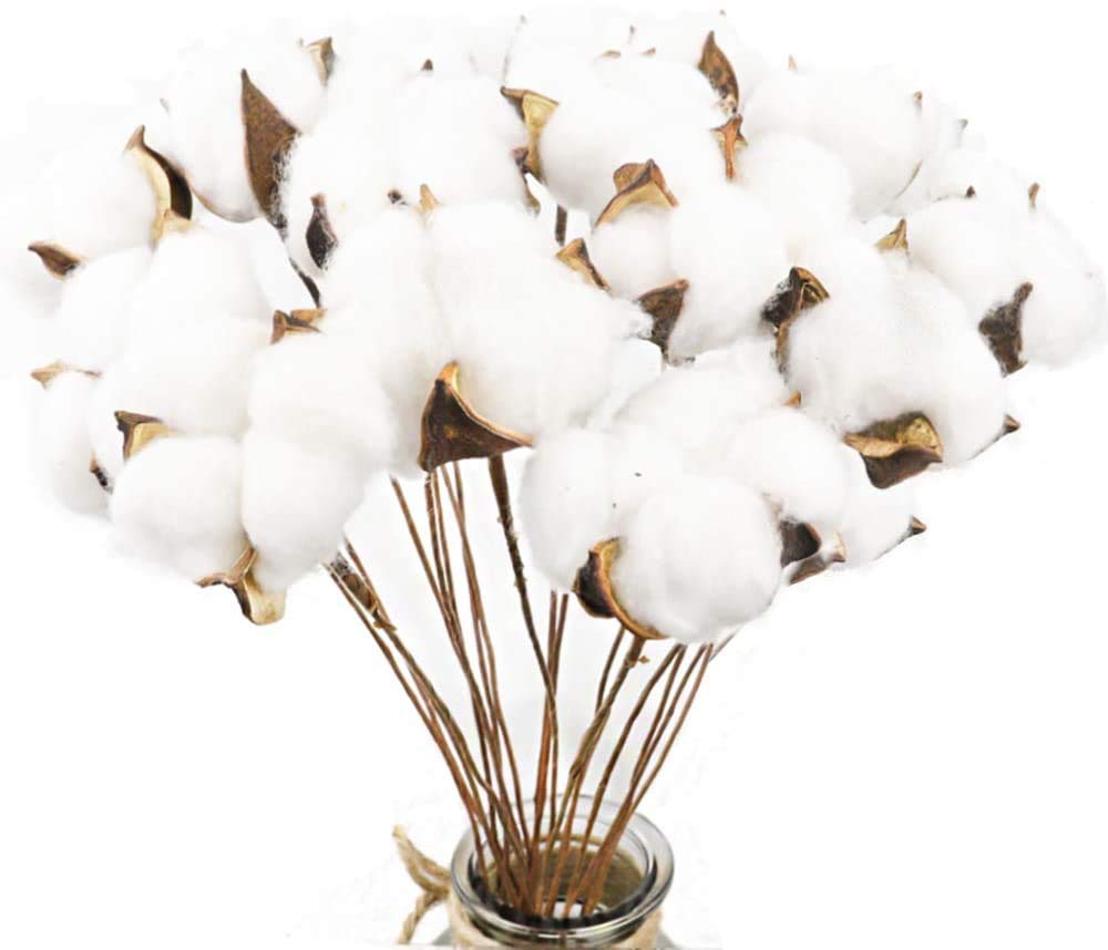 20 Packs Cotton Stems Decor Dried Cotton Flowers Picks 16.5" Fake Cotton Blooms Floral Stems for Vase Fillers Farmhouse Table Centerpieces Decoration