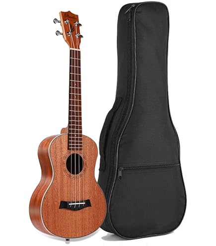 Concert Ukulele Ukulele Case Original Design 