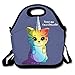 JH SPEED Lunch Tote Bag Color Unicorn Cat Picnic Lunchbox Lunch Tote Insulated Reusable Container Organizer For, Adults, Kids