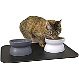 Kitty City Raised Cat Food Bowl Collection/Stress Free Pet Feeder and Waterer and Slow Feed Bowls