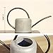 Layboo Retro Style Gorgeous Long Spout/Iron Watering Can Gardening Tool 1.7 L (Old zinc Color)
