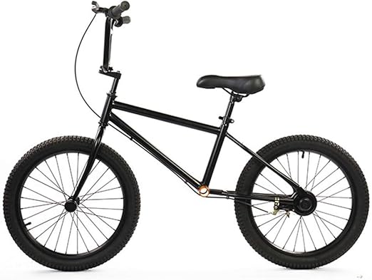bicycle with no pedals