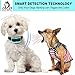 Our K9 Training Made Easy ​Ultrasonic Bark Collar ​for ​Small Dogs - ​No​ Shock, ​Pain Free ​Control Device