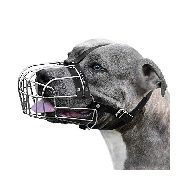 soft muzzle for staffy