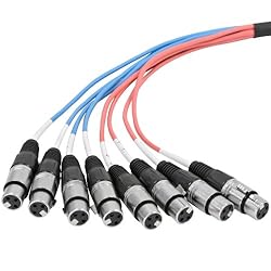 Seismic Audio - SAXT-8x10F - 8 Channel 10' XLR
