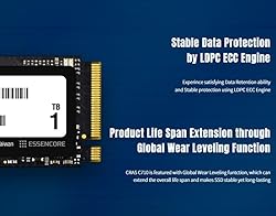 KLEVV CRAS C710 256GB M.2 NVMe PCIe Gen3x4 Internal