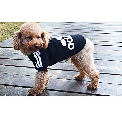 Moolecole Pet Sports Apparel Cat & Dog Cold Weather Coats Dog Hoodies Pet Sweaters (L, Black
