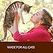 Holistic Select Natural Wet Grain Free Canned Cat Food, Salmon & Shrimp Pâté Recipe, 13-Ounce Can (Pack Of 12) , Packaging May Vary