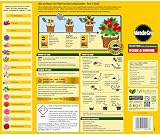 Miracle-Gro Rose and Shrub Fast Acting Granules Plant Food 3 kg view 2