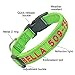 Didog Personalized Embroidered Dog Collar with Pet Name & Phone Number, Reflective Custom Dog Collar for Small Medium Large Dogs,Green Collar,Hot Pink Threadthumb 1
