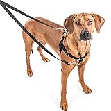 2 Hounds Design Freedom No Pull Harness and Leash Training Kit Raspberry,Medium (1 Width)