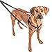 2 Hounds Design Freedom No Pull Harness and Leash Training Kit Raspberry,Medium (1 Width)