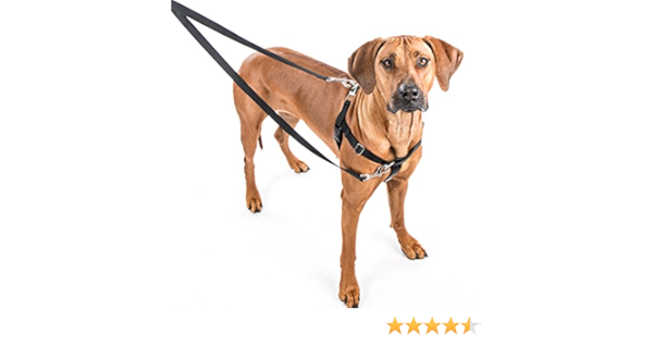 freedom no pull harness amazon