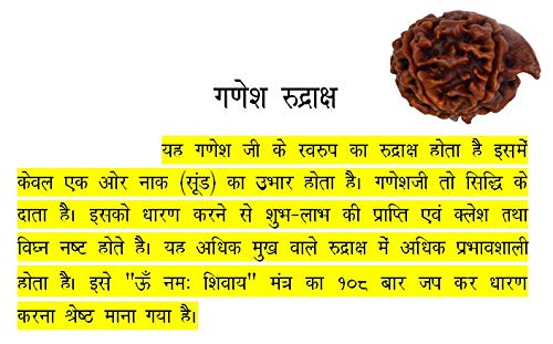 100% Original Nepal Ganesh Rudraksh