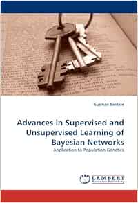 unsupervised bayesian learning