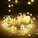 Tomshine Copper String Lights 8 Modes 32.8foot Fairy Lights with Remote Control Waterproof Brightness Adjustable Battery Powered Operated Warm White for Halloween Home Party (2 Pack)