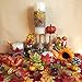 besttoyhome Miniature Artificial Pumpkins and Gourds Pine Cones Acorn Rustic Decoration Crafts for Fall Crafts - Faux - Dollhouse - Halloween & Thanksgiving Decor - Bowl Fillers - Assorted