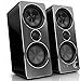 Philips SPA8210/37 Multimedia Speakers 2.0 (Black)